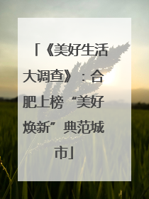 《美好生活大调查》：合肥上榜“美好焕新”典范城市