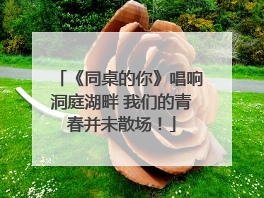 《同桌的你》唱响洞庭湖畔 我们的青春并未散场！