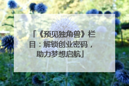 《预见独角兽》栏目：解锁创业密码，助力梦想启航