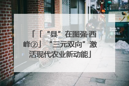 「“县”在图强·西峰②」“三元双向”激活现代农业新动能