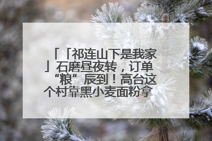 「祁连山下是我家」石磨昼夜转，订单“粮”辰到！高台这个村靠黑小麦面粉拿下成立来最大订单