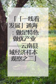 「一线看发展」通海：做足特色 做优产业——云南县域经济样本观察之二