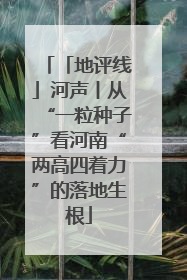 「地评线」河声丨从“一粒种子”看河南“两高四着力”的落地生根