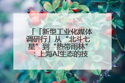 「新型工业化媒体调研行」从“北斗七星”到“热带雨林”：上海AI生态的技术商业共生密码