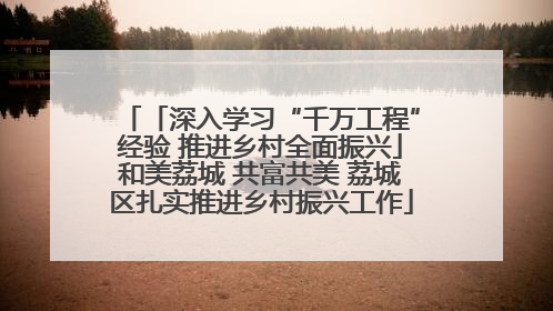 「深入学习“千万工程”经验 推进乡村全面振兴」和美荔城 共富共美 荔城区扎实推进乡村振兴工作