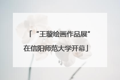 “王璇绘画作品展”在信阳师范大学开幕