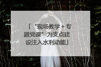 “现场教学＋专题党课”为支点建设注入水利动能