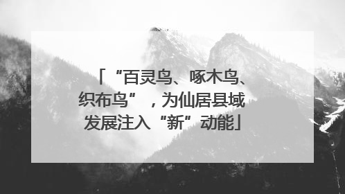 “百灵鸟、啄木鸟、织布鸟”，为仙居县域发展注入“新”动能