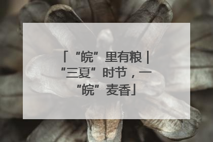 “皖”里有粮｜“三夏”时节，一“皖”麦香