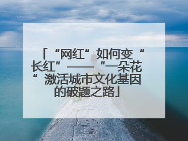 “网红”如何变“长红”——“一朵花”激活城市文化基因的破题之路