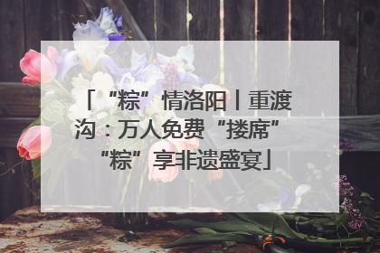 “粽”情洛阳丨重渡沟：万人免费“搂席” “粽”享非遗盛宴