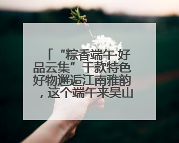 “粽香端午·好品云集”千款特色好物邂逅江南雅韵，这个端午来吴山广场解锁“浙里烟火气”