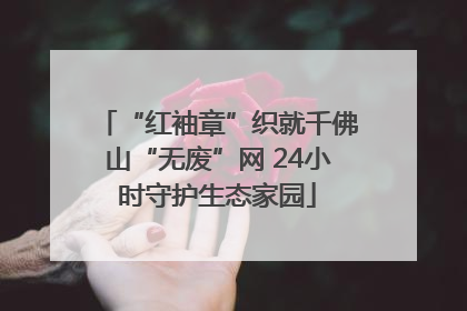 “红袖章”织就千佛山“无废”网 24小时守护生态家园