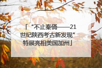 “不止秦俑——21世纪陕西考古新发现”特展亮相美国加州