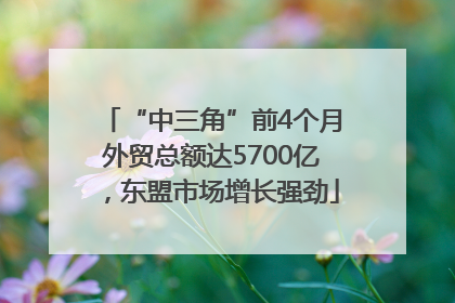“中三角”前4个月外贸总额达5700亿，东盟市场增长强劲