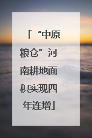 “中原粮仓”河南耕地面积实现四年连增