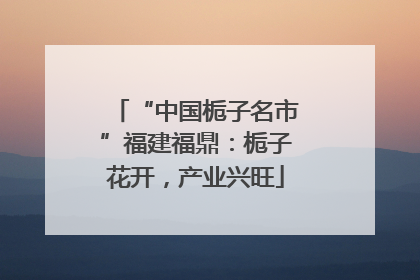 “中国栀子名市”福建福鼎：栀子花开，产业兴旺