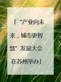 “产业向未来，城市更智慧”发展大会在苏州举办