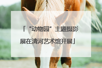 “动物园”主题摄影展在清河艺术馆开展