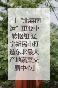 “北菜南运”重要中转枢纽 辽宁新民市打造东北最大产地蔬菜交易中心