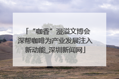 “咖香”漫溢文博会 深帮咖啡为产业发展注入新动能_深圳新闻网