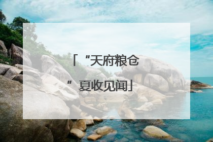 “天府粮仓”夏收见闻