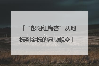 “彭阳红梅杏”从地标到金标的品牌蜕变