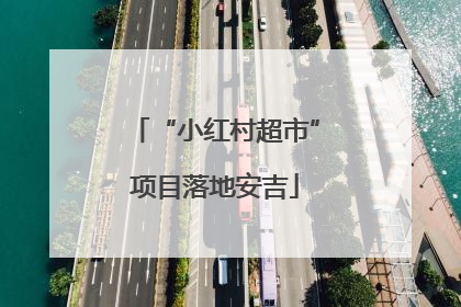 “小红村超市”项目落地安吉