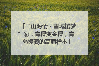 “山海情・雪域援梦”⑧：青稞变金稞，青岛援藏的高原样本