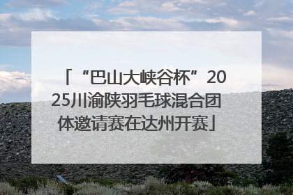 “巴山大峡谷杯”2025川渝陕羽毛球混合团体邀请赛在达州开赛