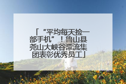 “平均每天捡一部手机”！鲁山县尧山大峡谷漂流集团表彰优秀员工