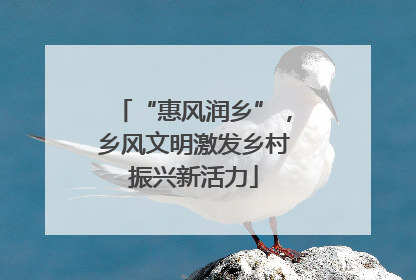“惠风润乡”，乡风文明激发乡村振兴新活力