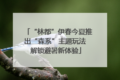 “林都”伊春今夏推出“森系”主题玩法 解锁避暑新体验