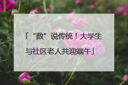 “数”说传统！大学生与社区老人共迎端午