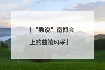 “数说”南博会上的曲靖风采