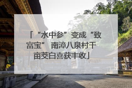 “水中参”变成“致富宝” 南漳八泉村千亩茭白喜获丰收