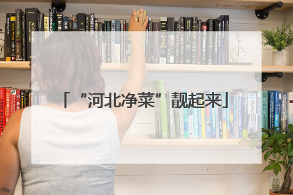 “河北净菜”靓起来
