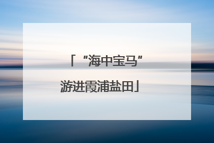“海中宝马”游进霞浦盐田