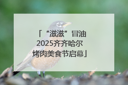 “滋滋”冒油 2025齐齐哈尔烤肉美食节启幕