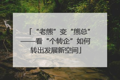 “老熊”变“熊总”——看“个转企”如何转出发展新空间