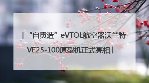 “自贡造”eVTOL航空器沃兰特VE25-100原型机正式亮相