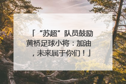 “苏超”队员鼓励黄桥足球小将：加油，未来属于你们！