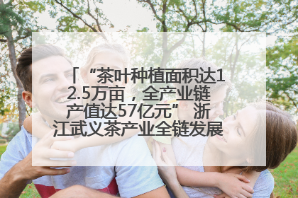 “茶叶种植面积达12.5万亩，全产业链产值达57亿元” 浙江武义茶产业全链发展“加速度”