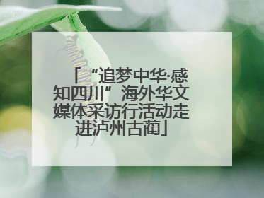 “追梦中华·感知四川”海外华文媒体采访行活动走进泸州古蔺
