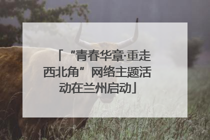“青春华章·重走西北角”网络主题活动在兰州启动