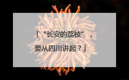 “长安的荔枝”，要从四川讲起？
