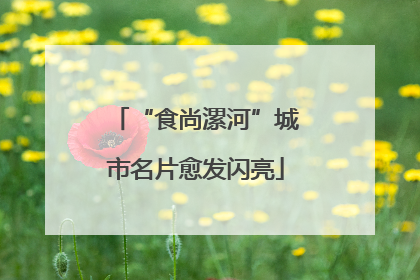 “食尚漯河”城市名片愈发闪亮