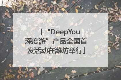 “DeepYou深度游”产品全国首发活动在潍坊举行