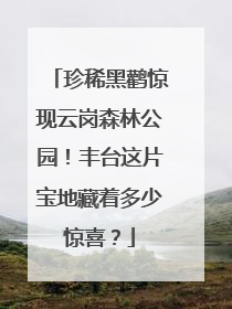 珍稀黑鹳惊现云岗森林公园！丰台这片宝地藏着多少惊喜？