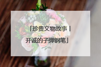 珍贵文物故事丨开诚的子弹钢笔